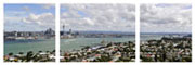 Canvas Art Print Auckland City